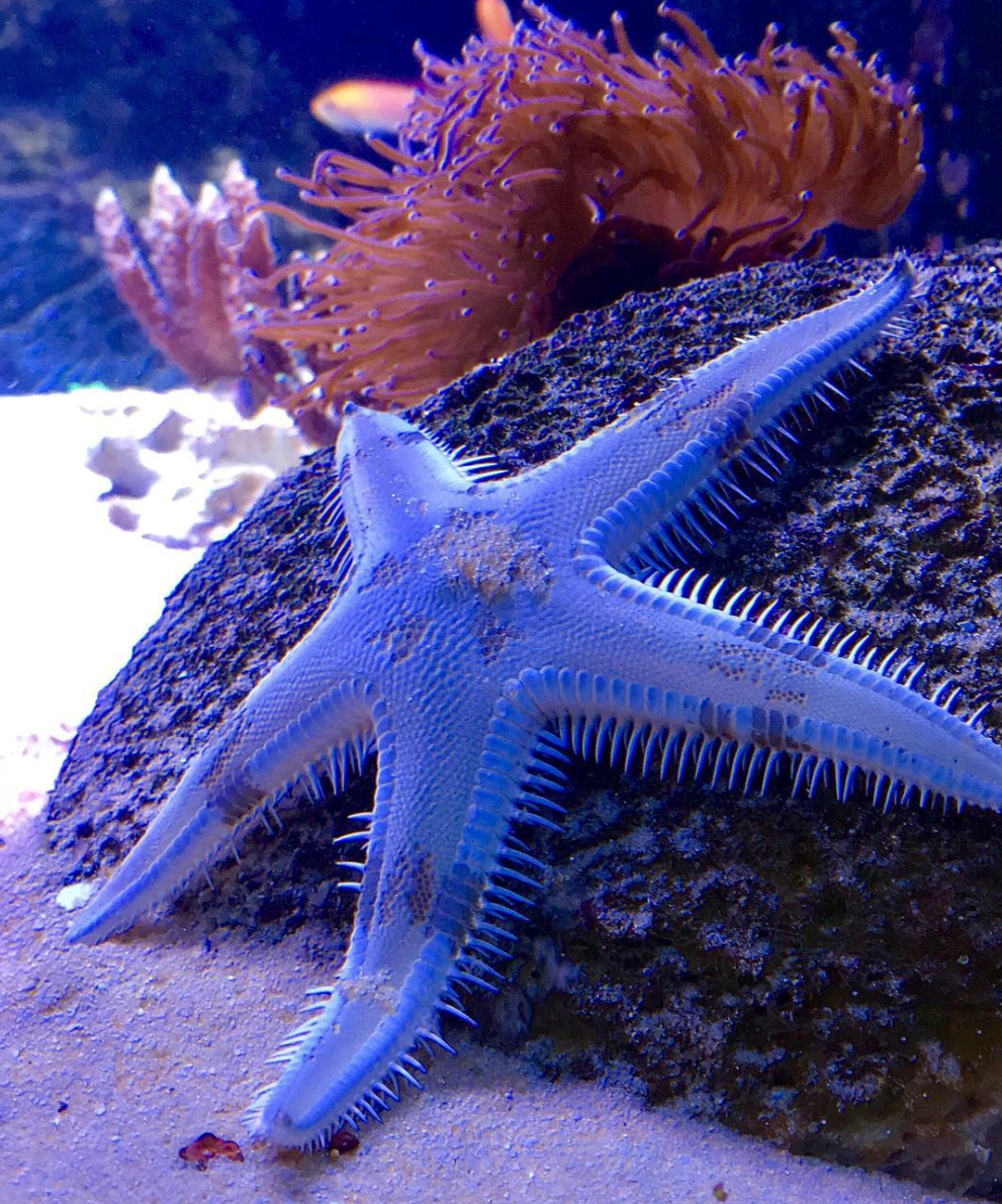 broome aquarium